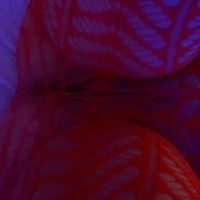 Charity Luv