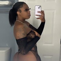 Tee Stallion