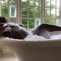 Public profile of Jade
