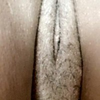 313-634-2860