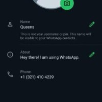 334-645-3717