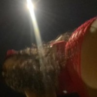 213-306-2694