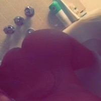 313-379-1581