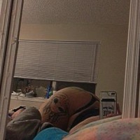 205-659-6569