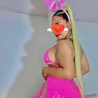 786-755-6049