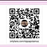 929-841-3772
