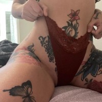 954-310-4313