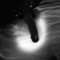 215-929-2380