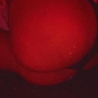 412-891-0144