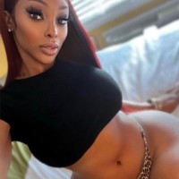 Ts Vixen