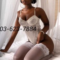 703-623-7884        