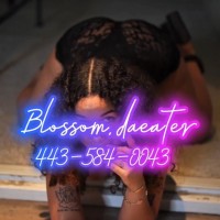 Blossom