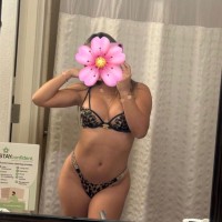 786-384-7798        