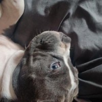 Miss Ellie