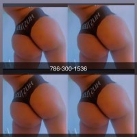786-300-1536        