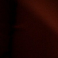 901-585-3879        