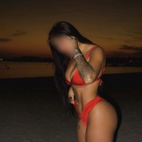 305-647-7199        