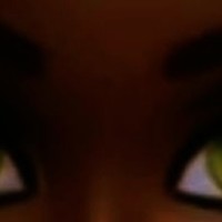 Black Chocolate