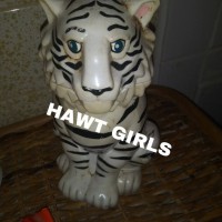 HAWTGIRLS