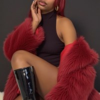 Stallion