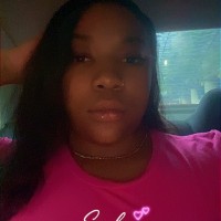 Stallion