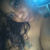 HoneyDoo