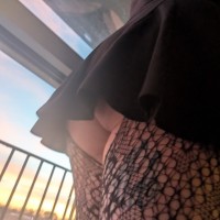 Haley