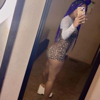 Gatita