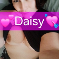 Daisy