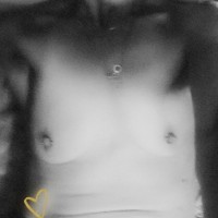 Honeybee