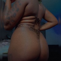Stallion