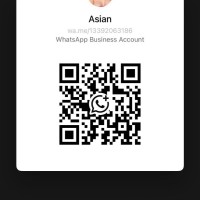 339-206-3186