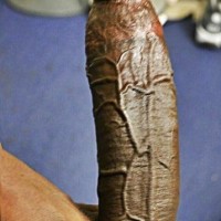 Bbc
