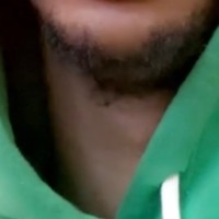 Jay