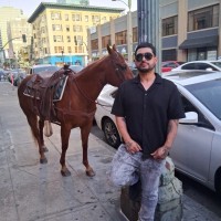 Latin lover