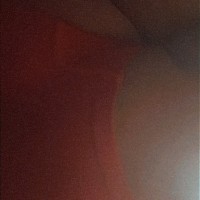 706-538-3559