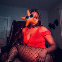 929-579-3120