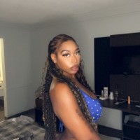 Stallion Milan