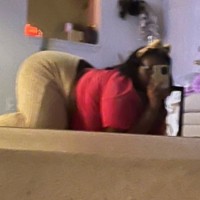 Destanie