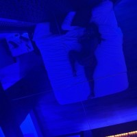 Dream