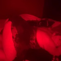 Scarlit