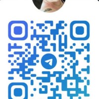 Text my WhatsApp number