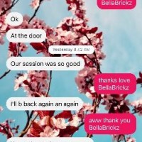 bella Brickz