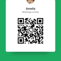 704-277-3113