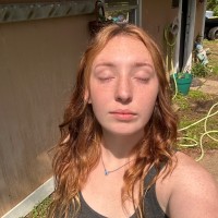 Kittykat incall new girl Hollyw