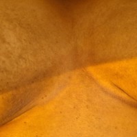 MEL