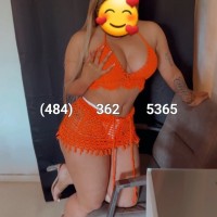 484-362-5365