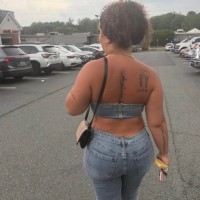 704-733-0178