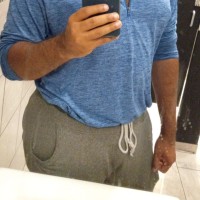 786-231-4161