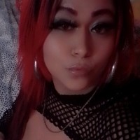 279-264-3801
